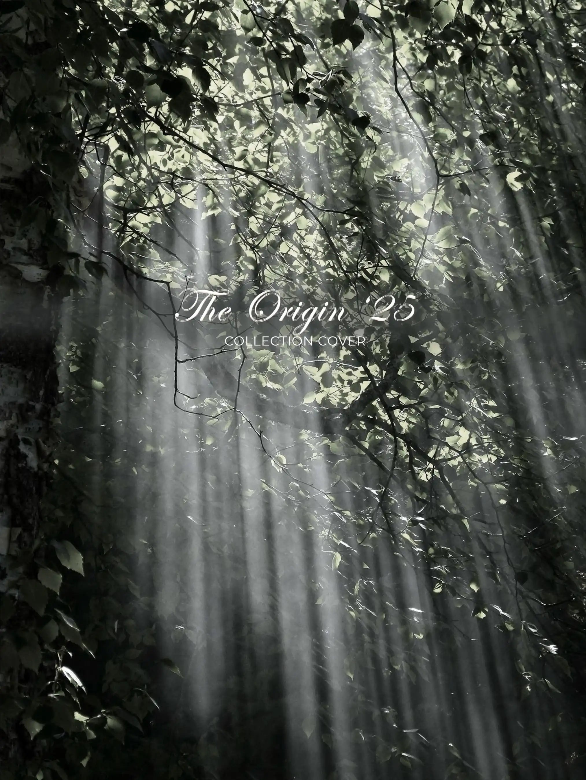 Sunlight filtering through trees with 'The Origin 25 Collection Cover' text.